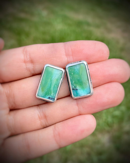 Opalized Wood Studs