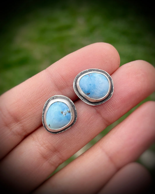 Golden Hills Turquoise Studs