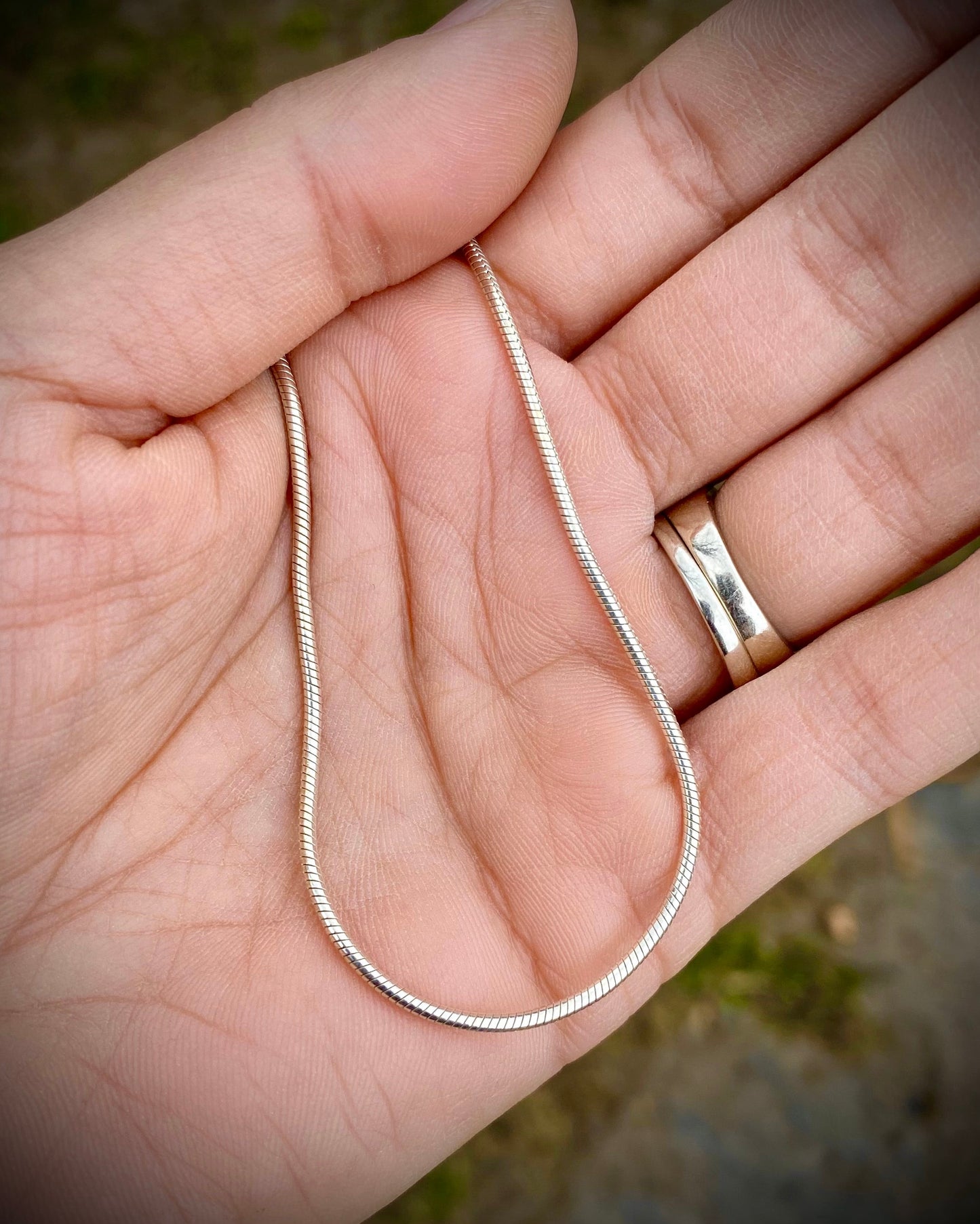 Essential Snake Chain Necklace